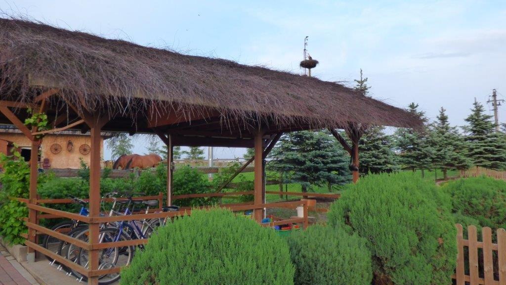 בולסלאביש Agroturystyka Klekusiowo מראה חיצוני תמונה
